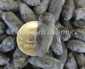 Жимолость Фиалка (С3)