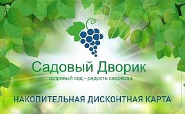 Система накопительных дисконтных карт для постоянных покупателей.