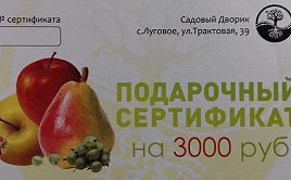 Подарочный сертефикат