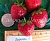 Земляника садовая Дарояль (Р7)